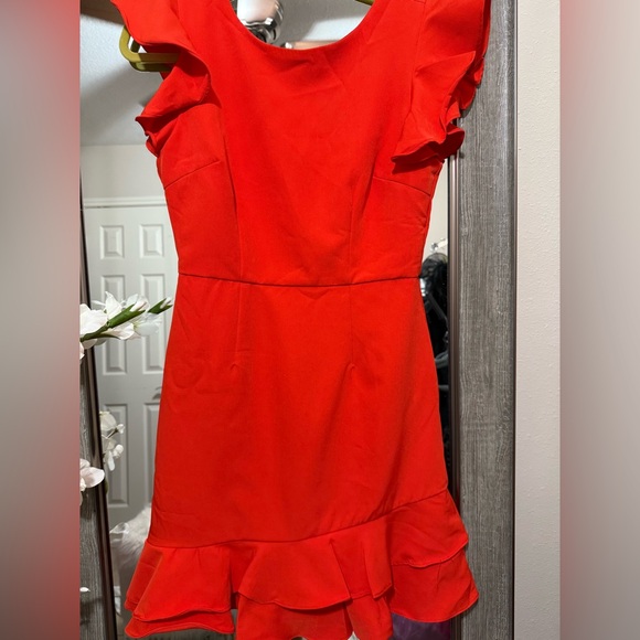 The Impeccable Pig Red Formal Dress - Picture 3 of 6